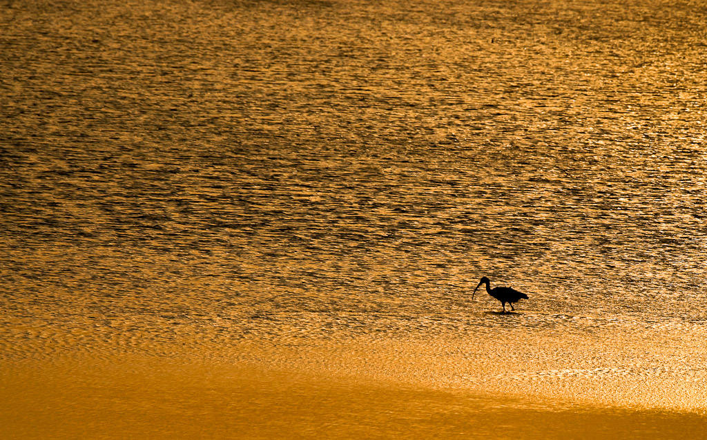 On Golden Pond
