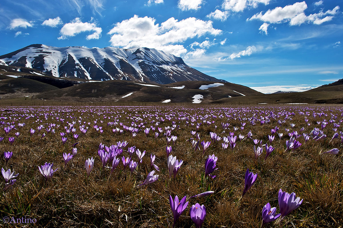 Spring spreads out