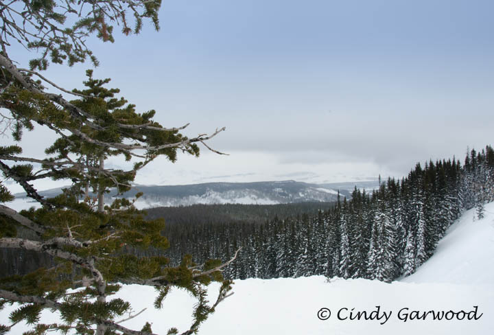 Rabbits Ear Pass in CO