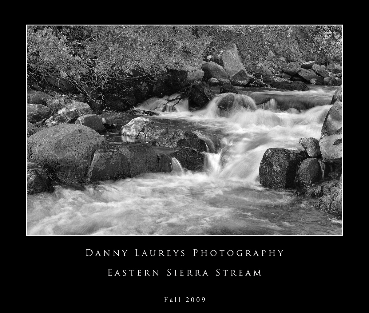 Eastern Sierra Stream