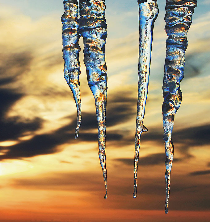 Icicles at sunrise