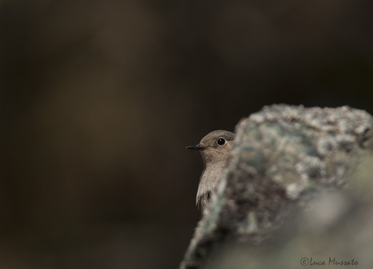 Peekaboo!!!