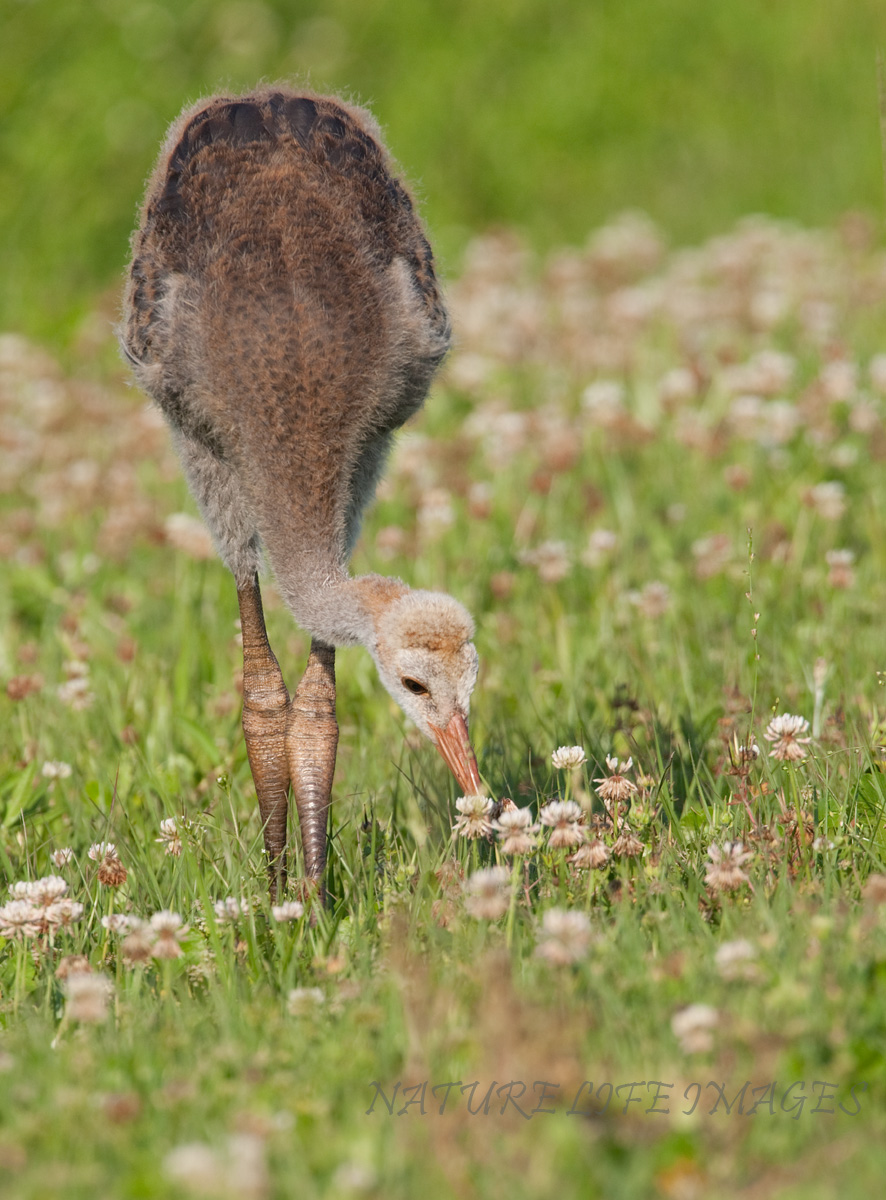 Smells Like Spring
