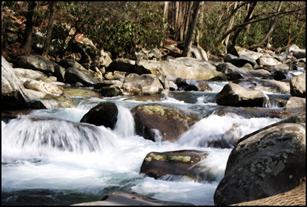 Smoky Mountains Creek