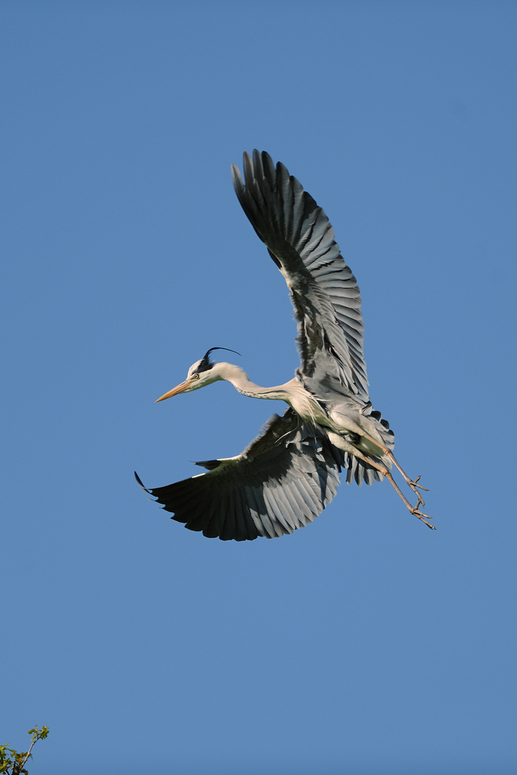 landing