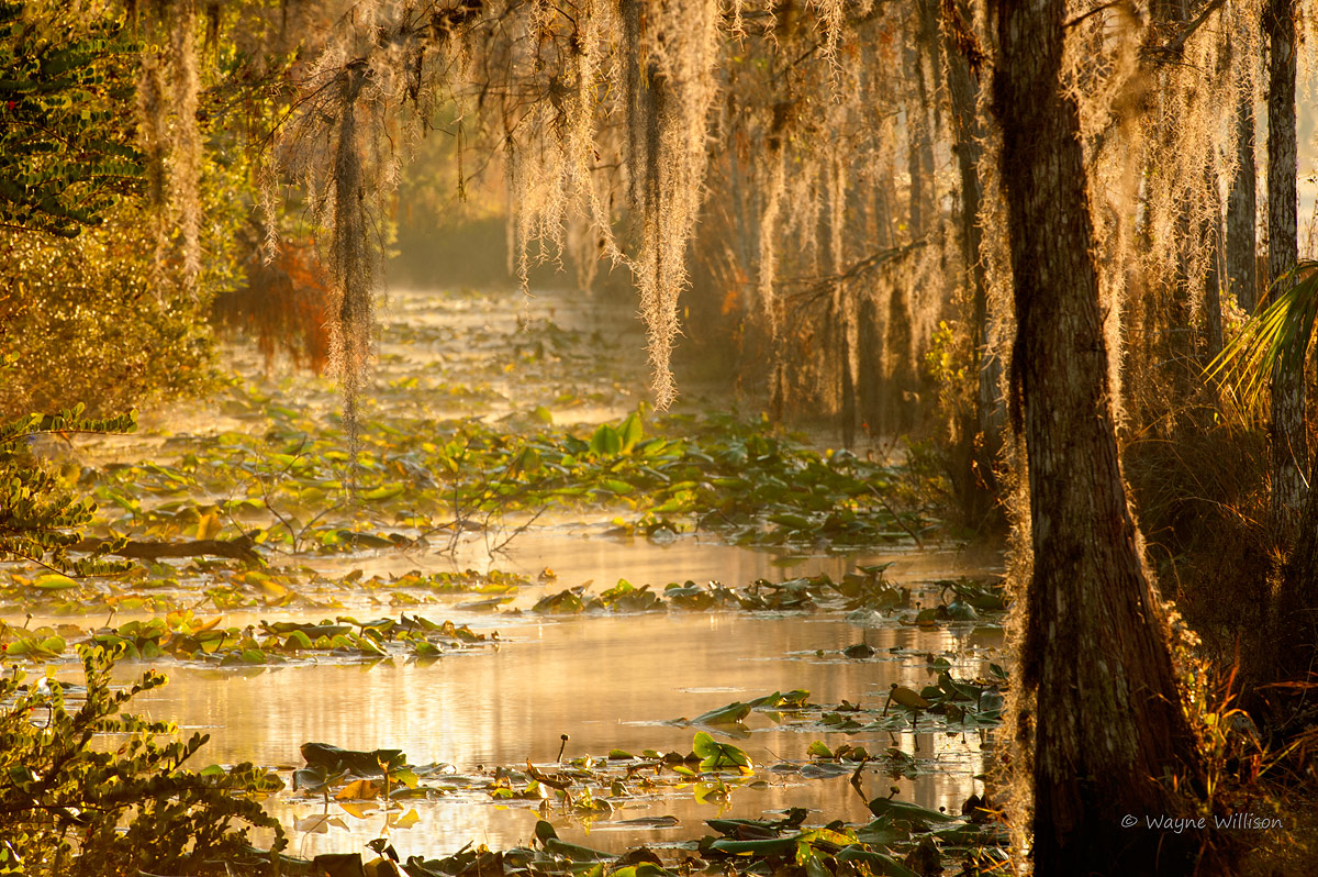 Canal View