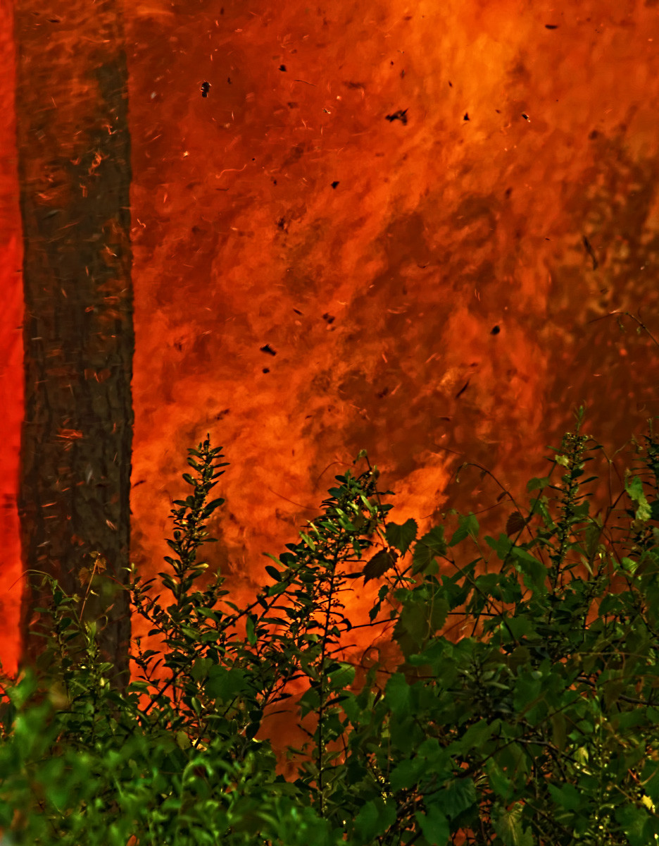 Wildfire