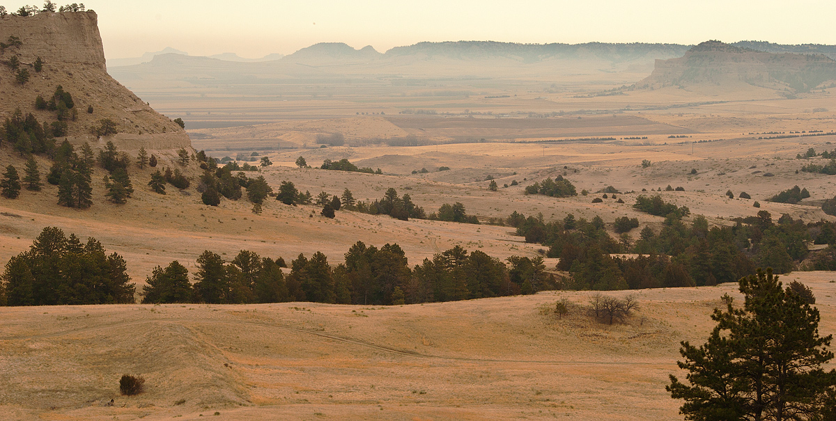 Cedar Canyon 