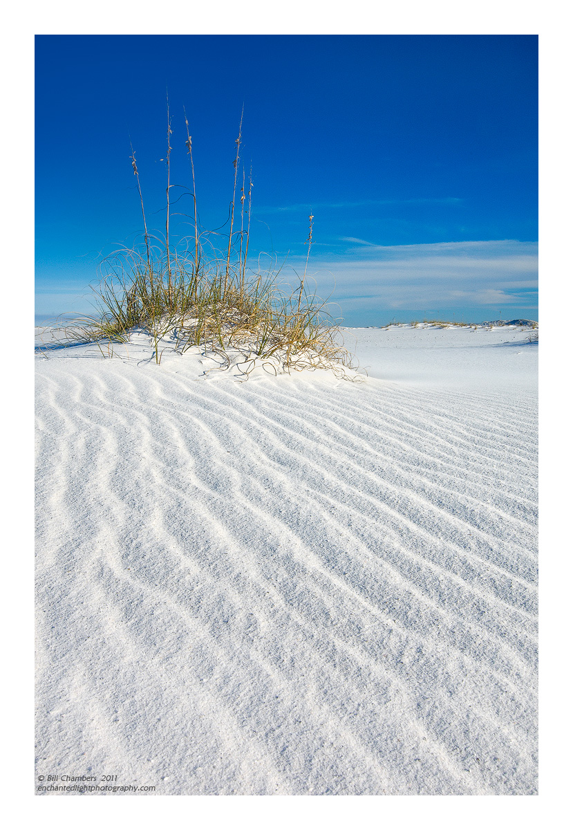 WC 479 - Sand Ripples