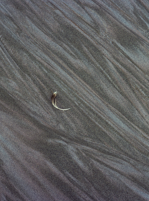 wcsand Beach