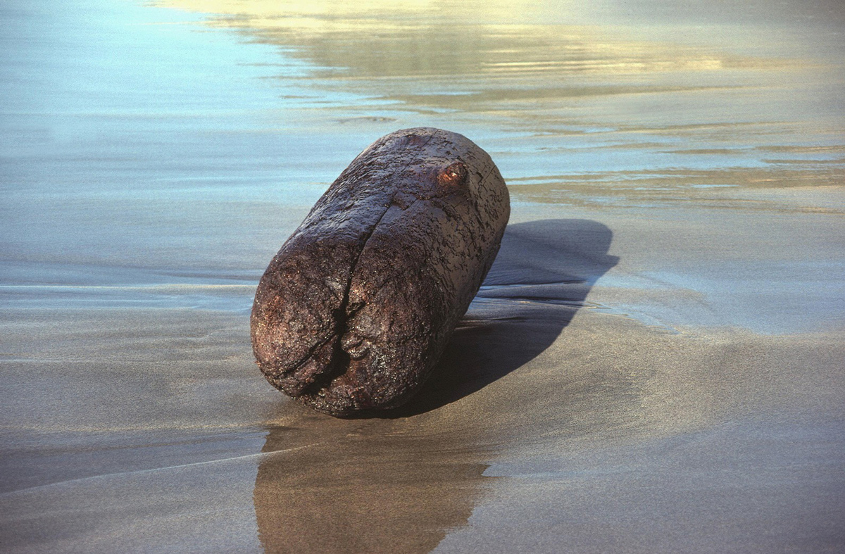 Log from earlier post
