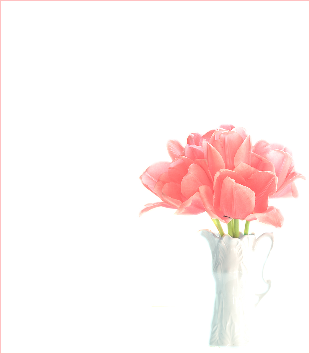 Tulips on Good Friday