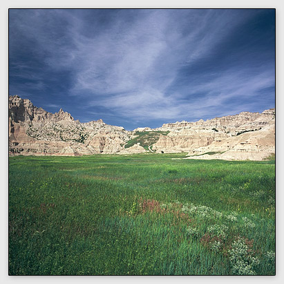 Cedar Pass Vista