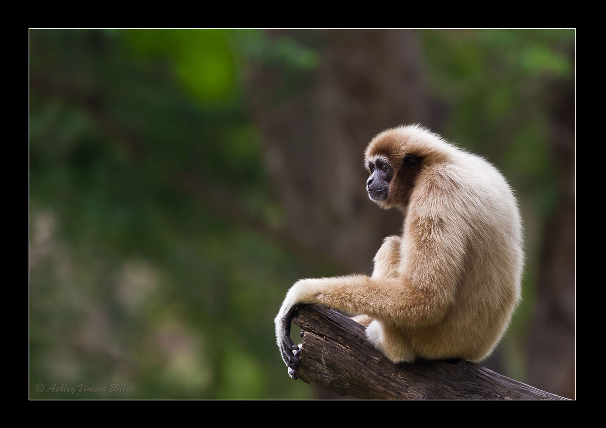 Deep in Thought - Rework