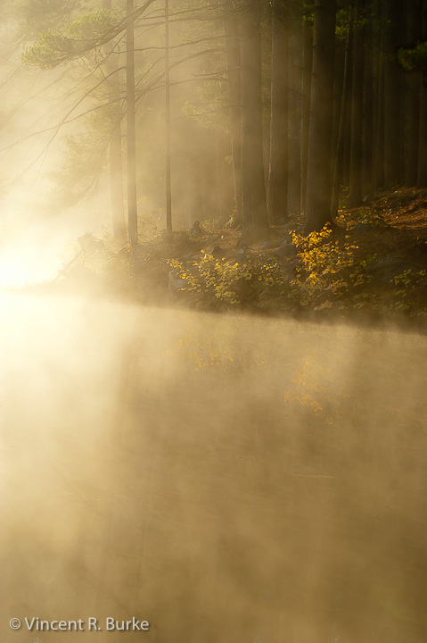 Morning Mist