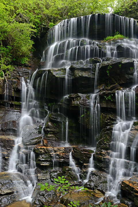Yellow Branch Falls