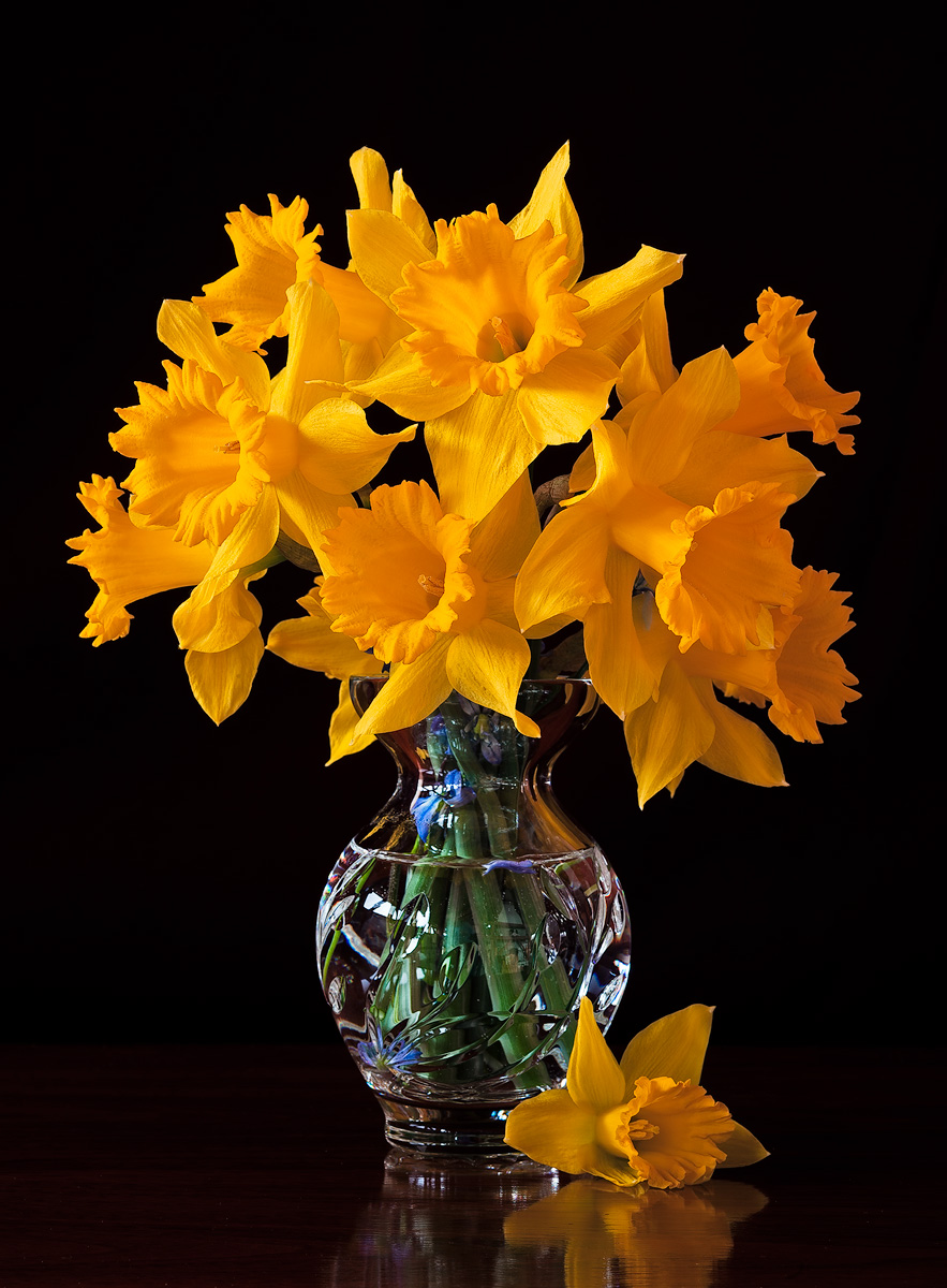 Spring has sprung