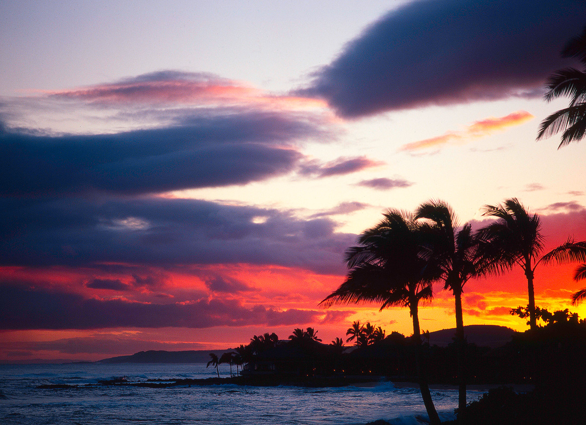 Aloha + Repost