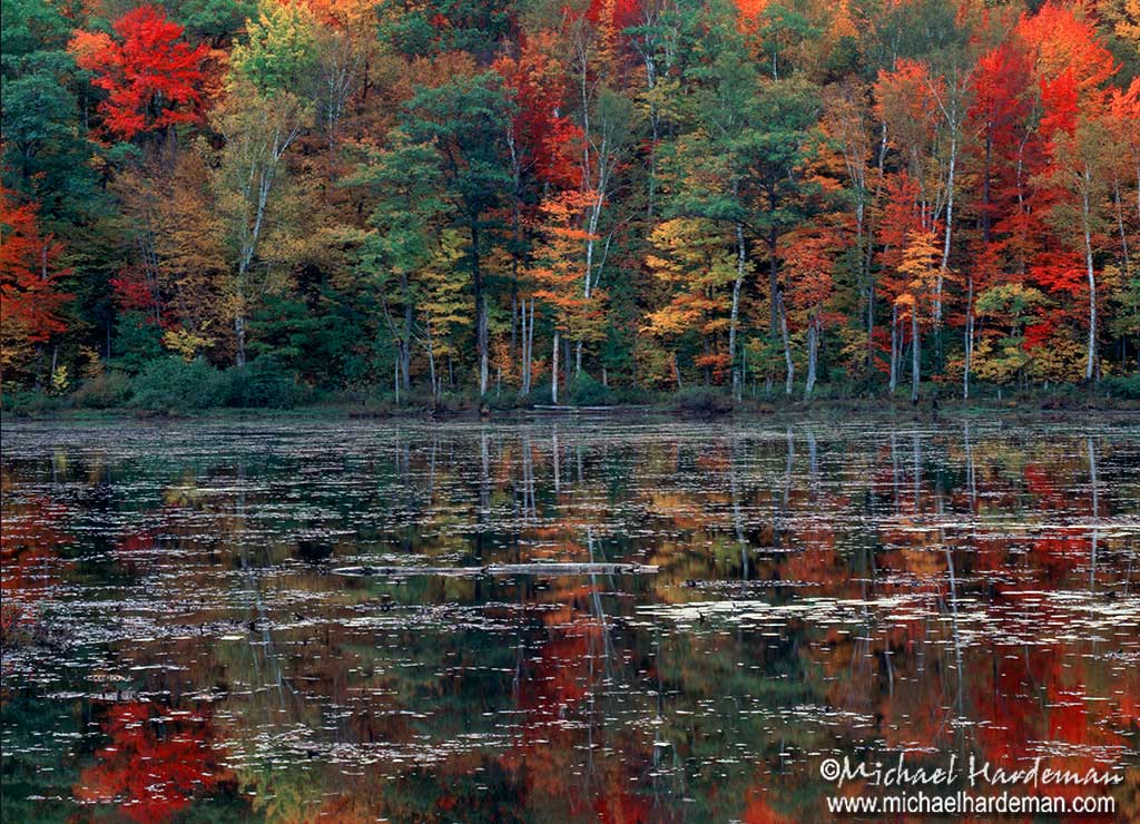 New Hampshire Lake