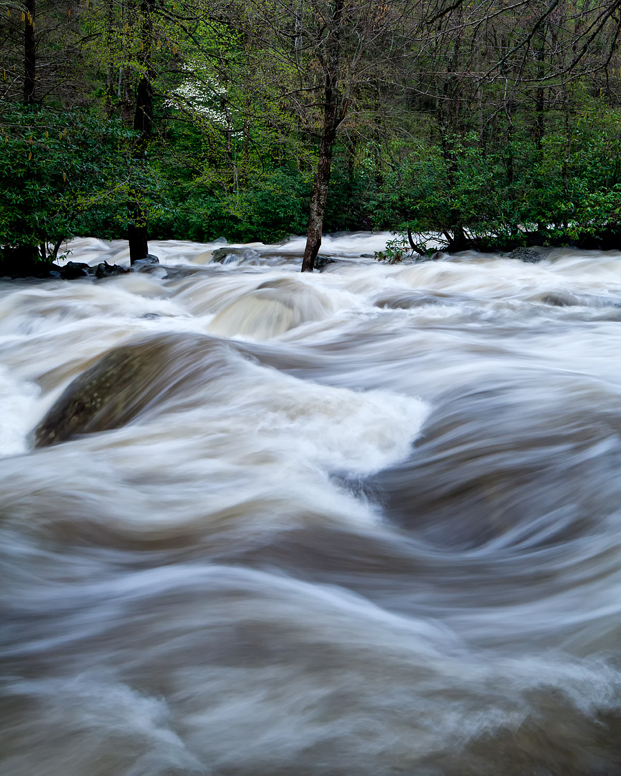 Flood Stage