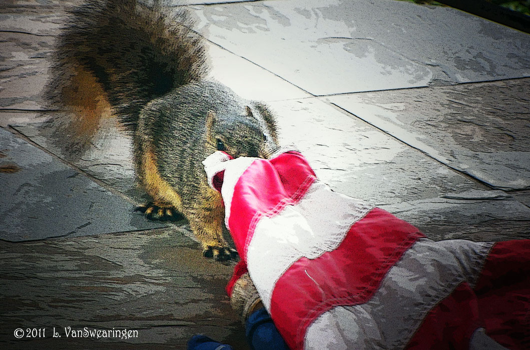 Flag Thief!