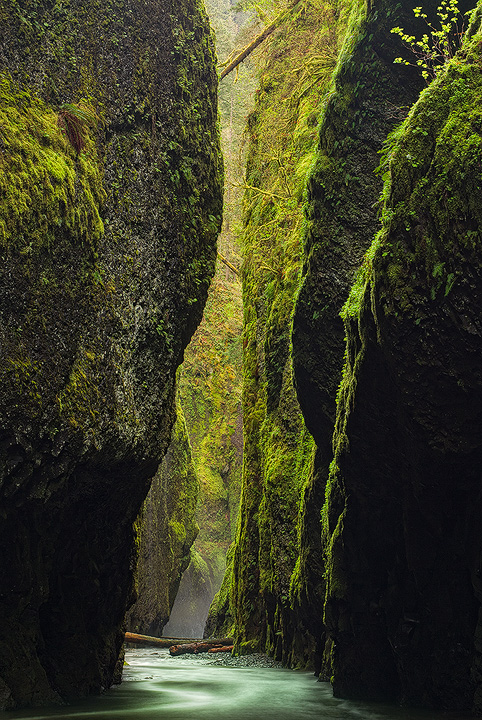 Canyon Oasis