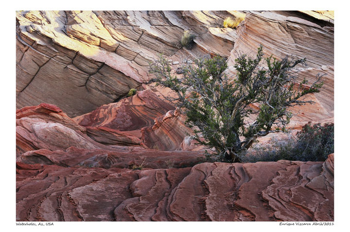 Waterholes, textures