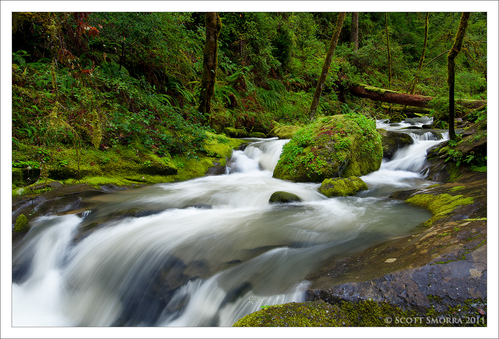 Tate Creek Waterfalls
