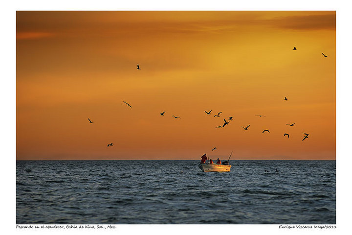 fishing at sunset