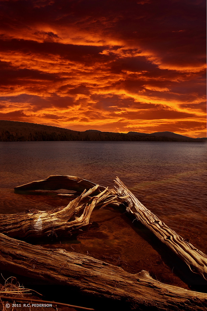 Driftwood