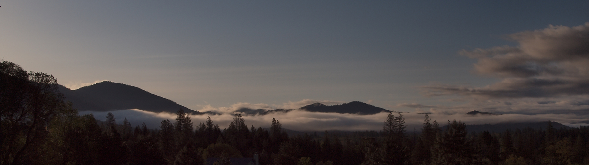 Morning Fog