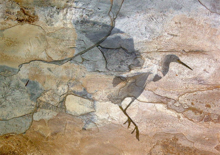 Lascaux Dream