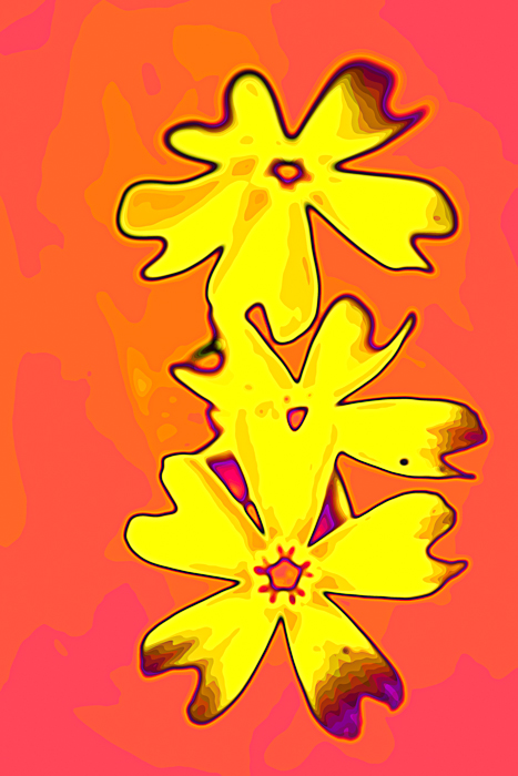 Hawaii flower