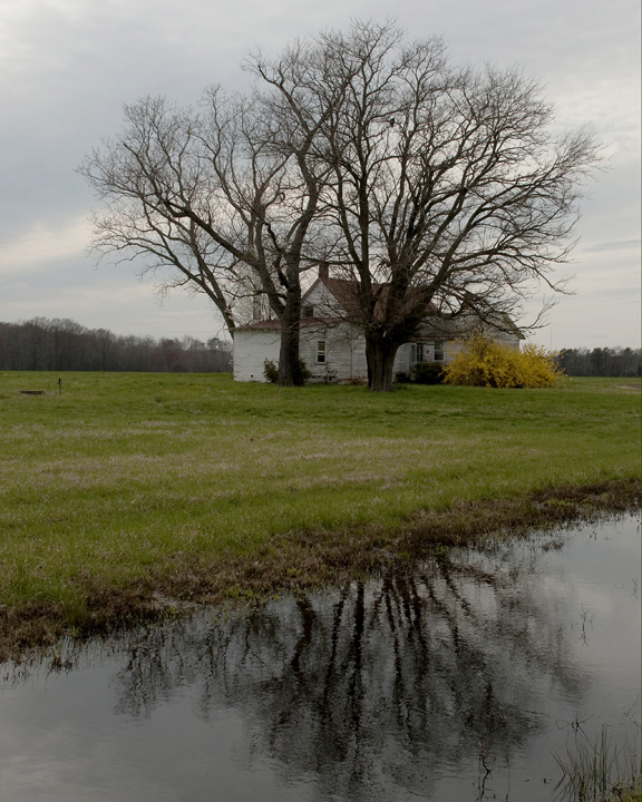 Early Spring in Virginia