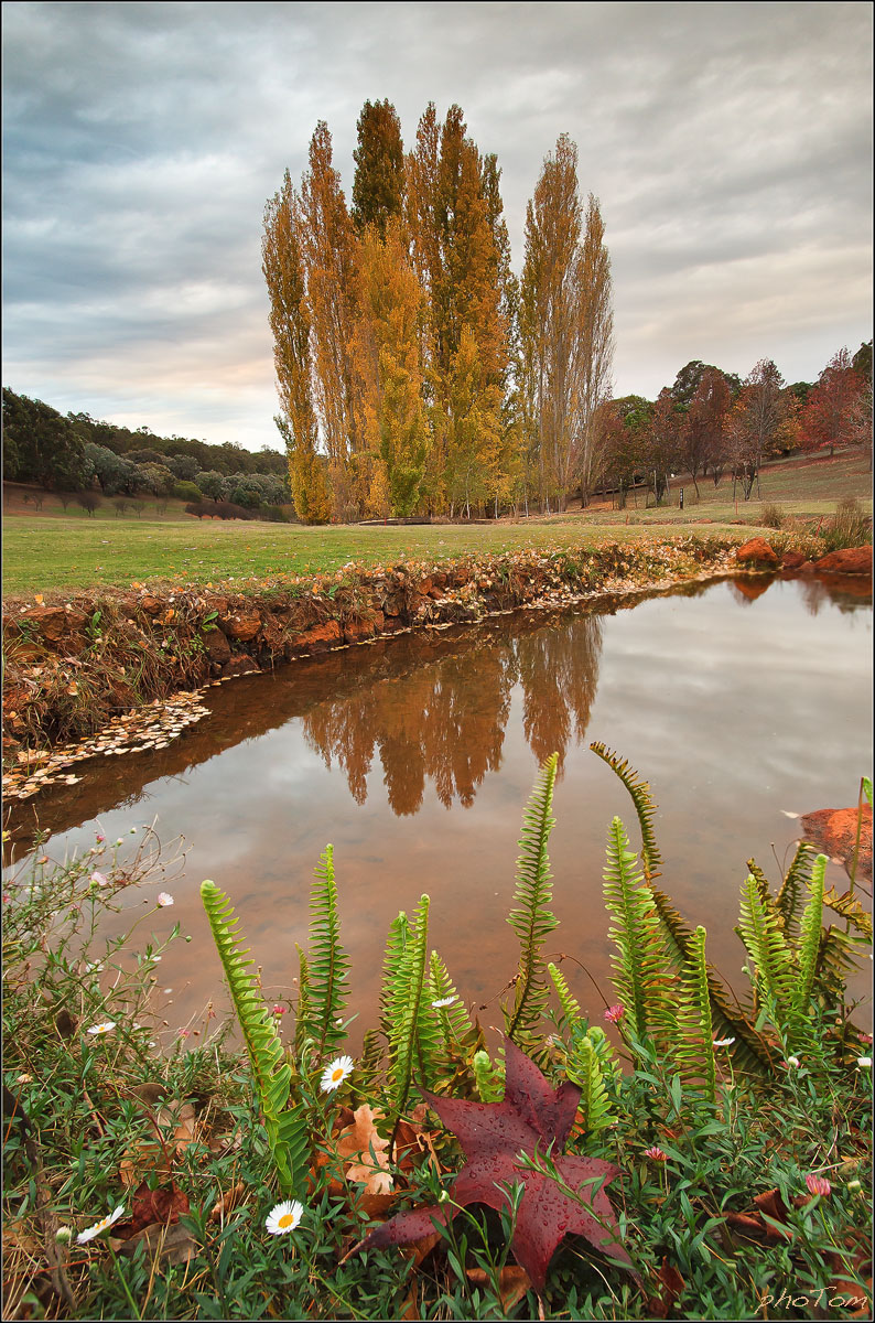 Araluen Autumn 