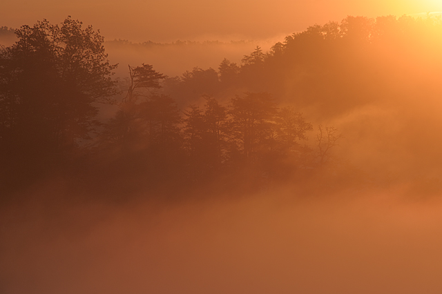 Gorge Sunrise