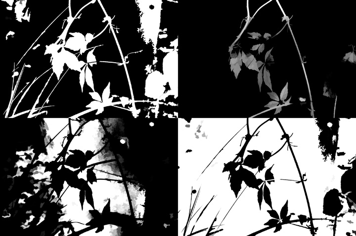 Pop Art Leaves