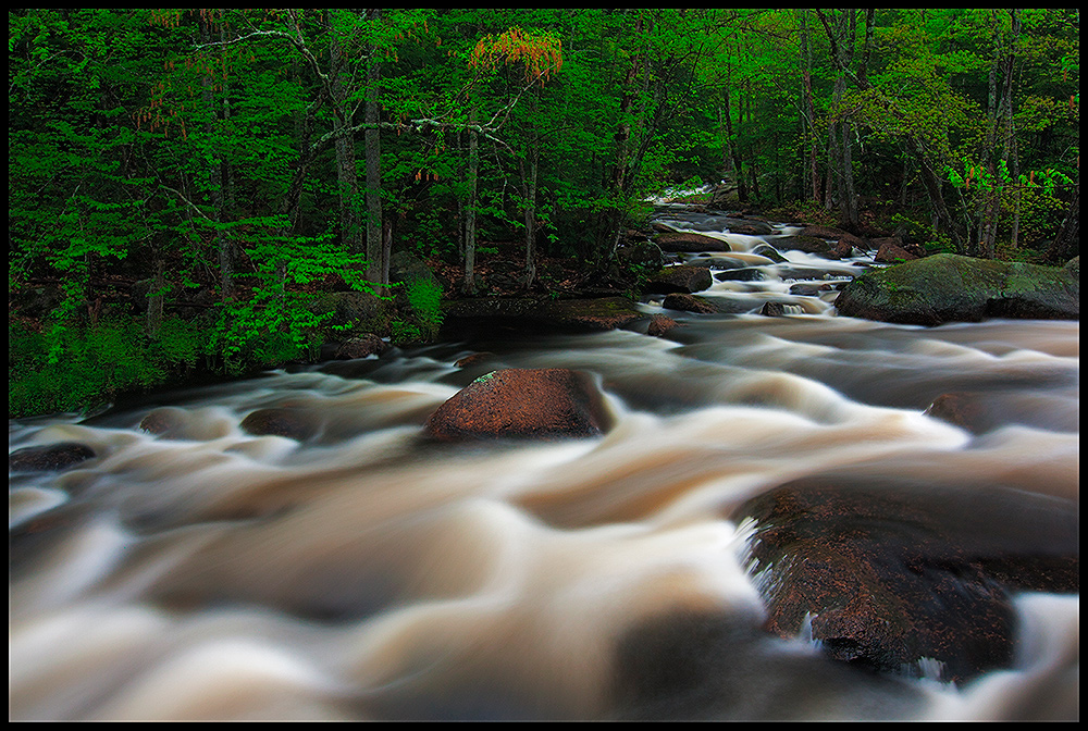 Salmon Brook Saturday
