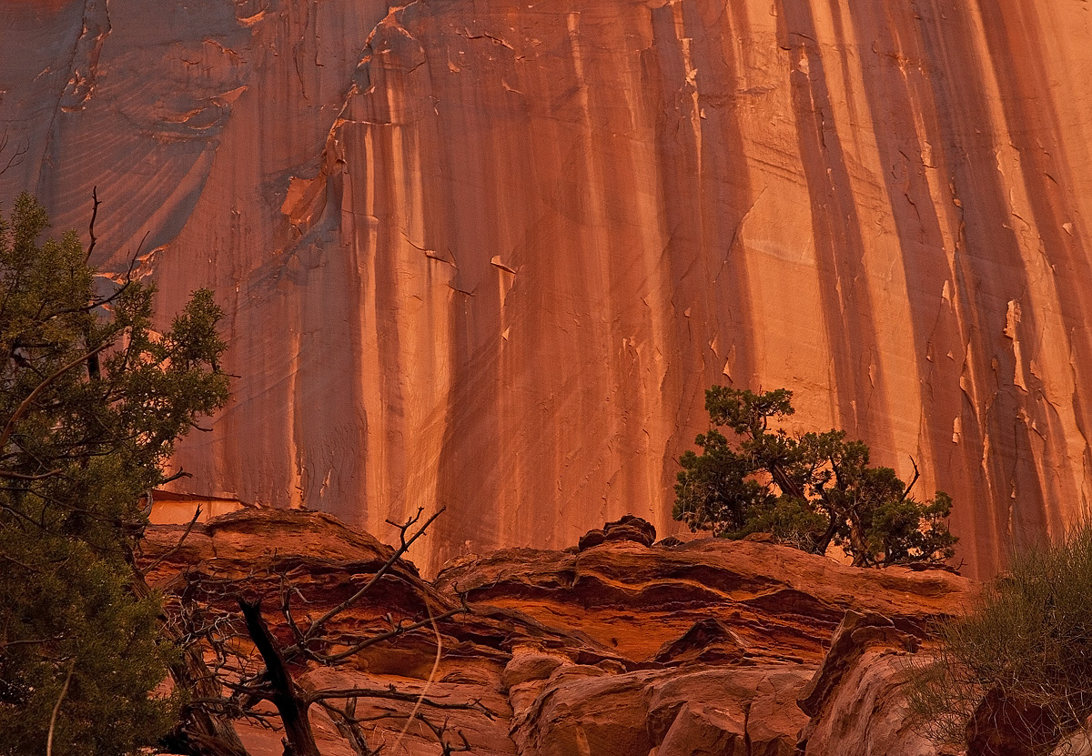 Negro Bill Canyon + Repost
