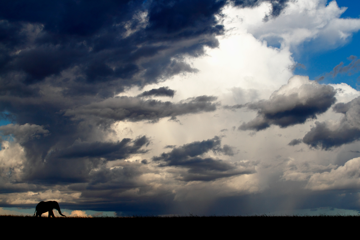 Under Stormy Skies