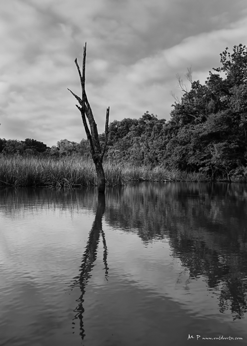 Lake Mexia