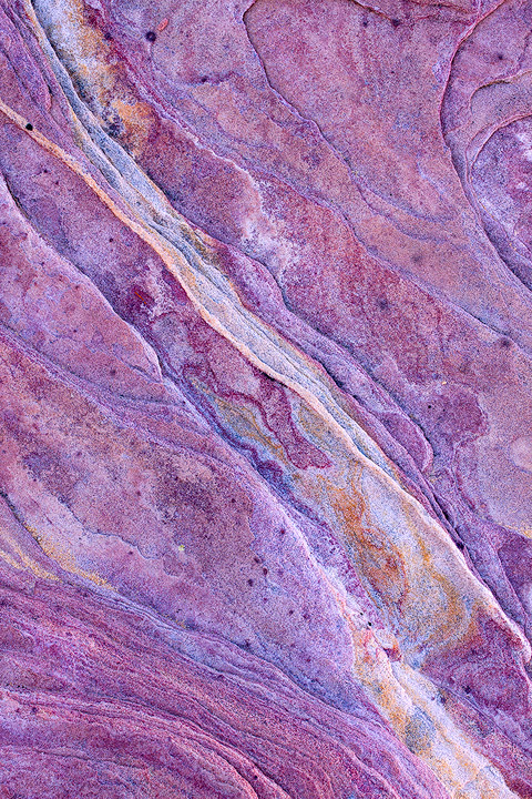 Purple Ripples