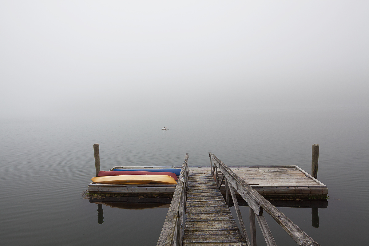 The Fog