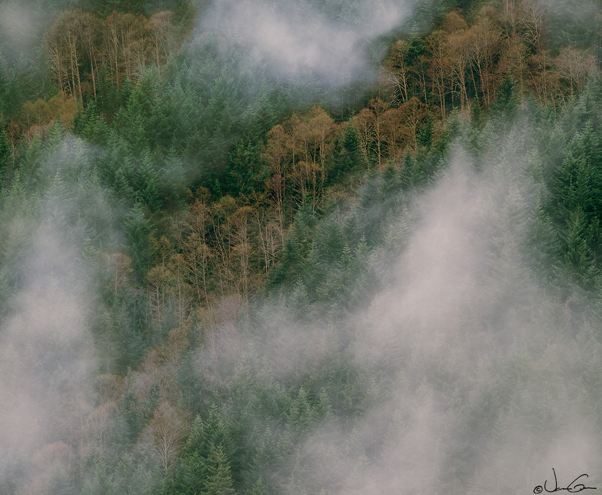 Cloudy Mountainside