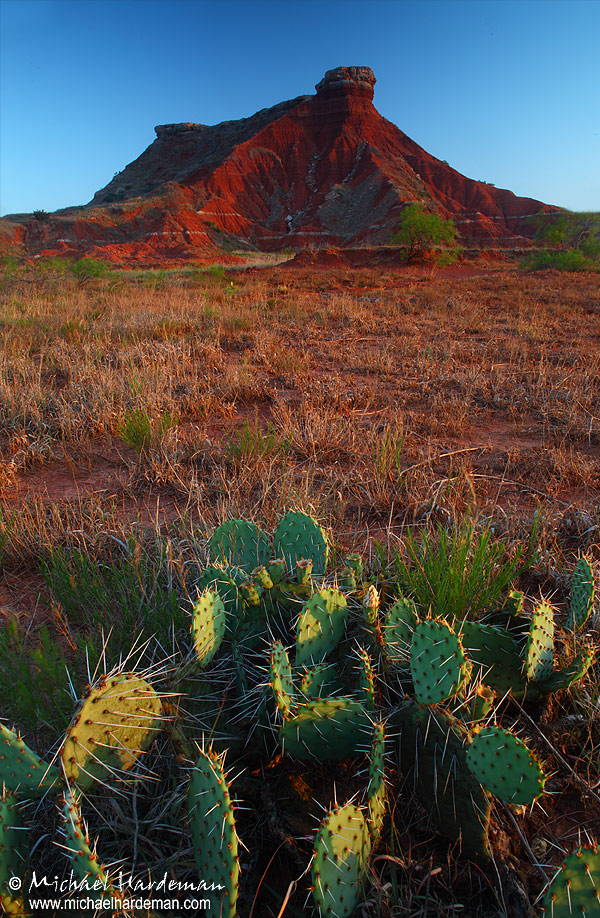 Prickly