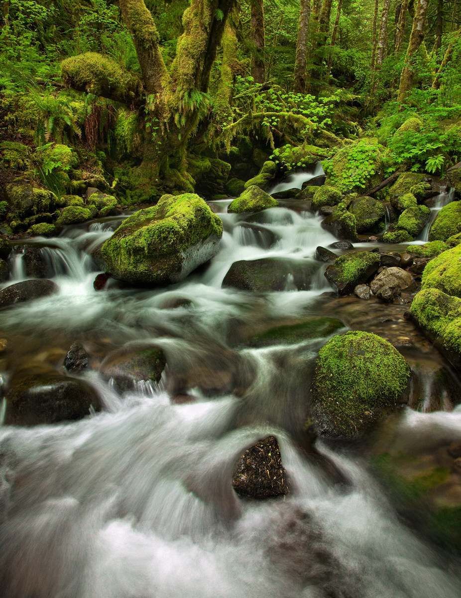 Ruckel Creek, take 2