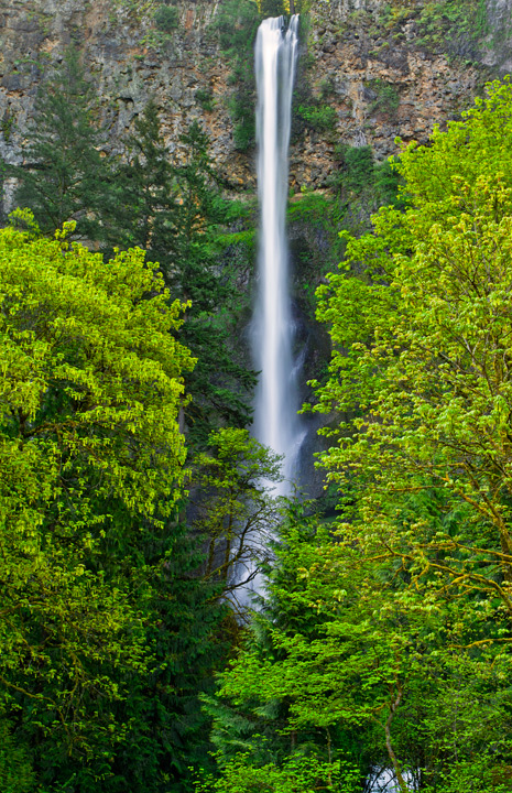 Multnomah Spring
