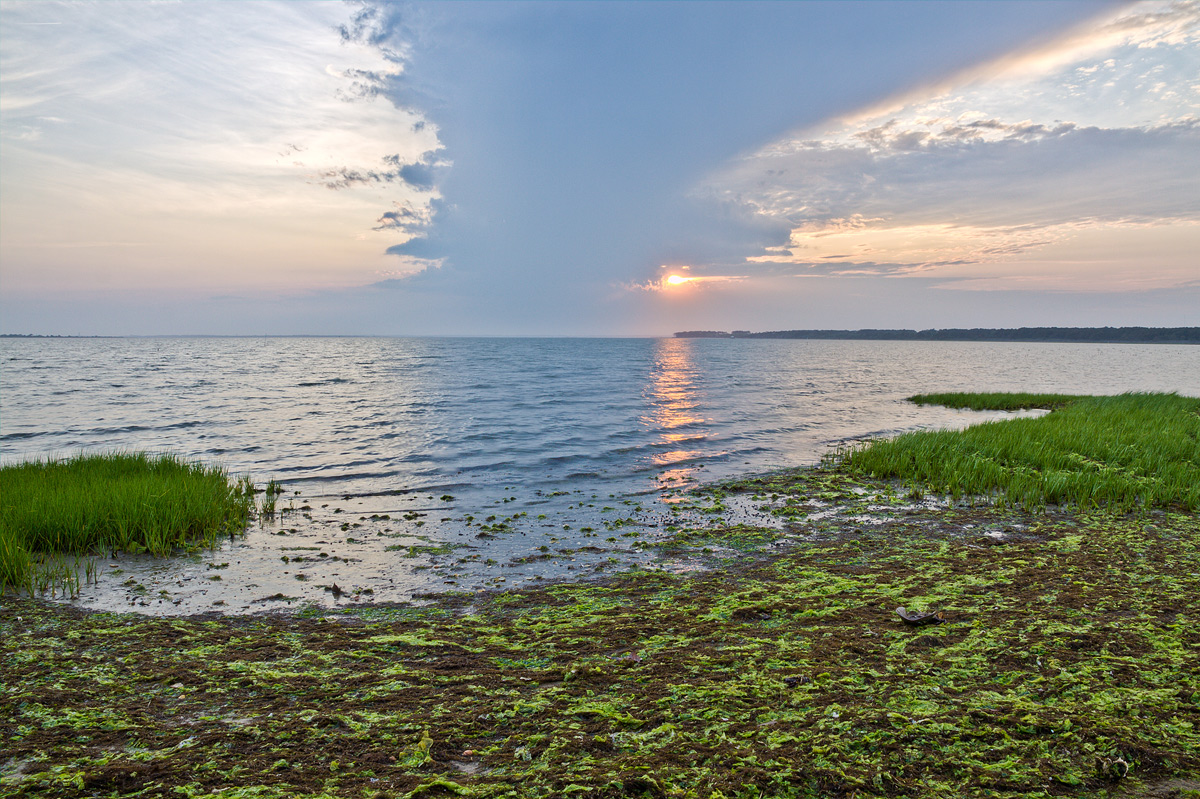 Evening in the Cove