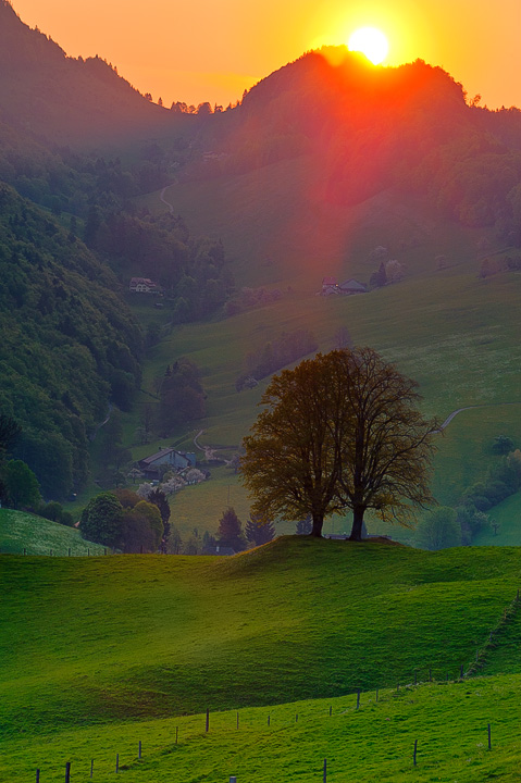 Jura Sunrise