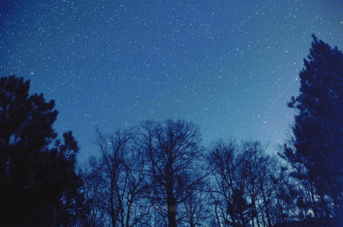 Starry Night